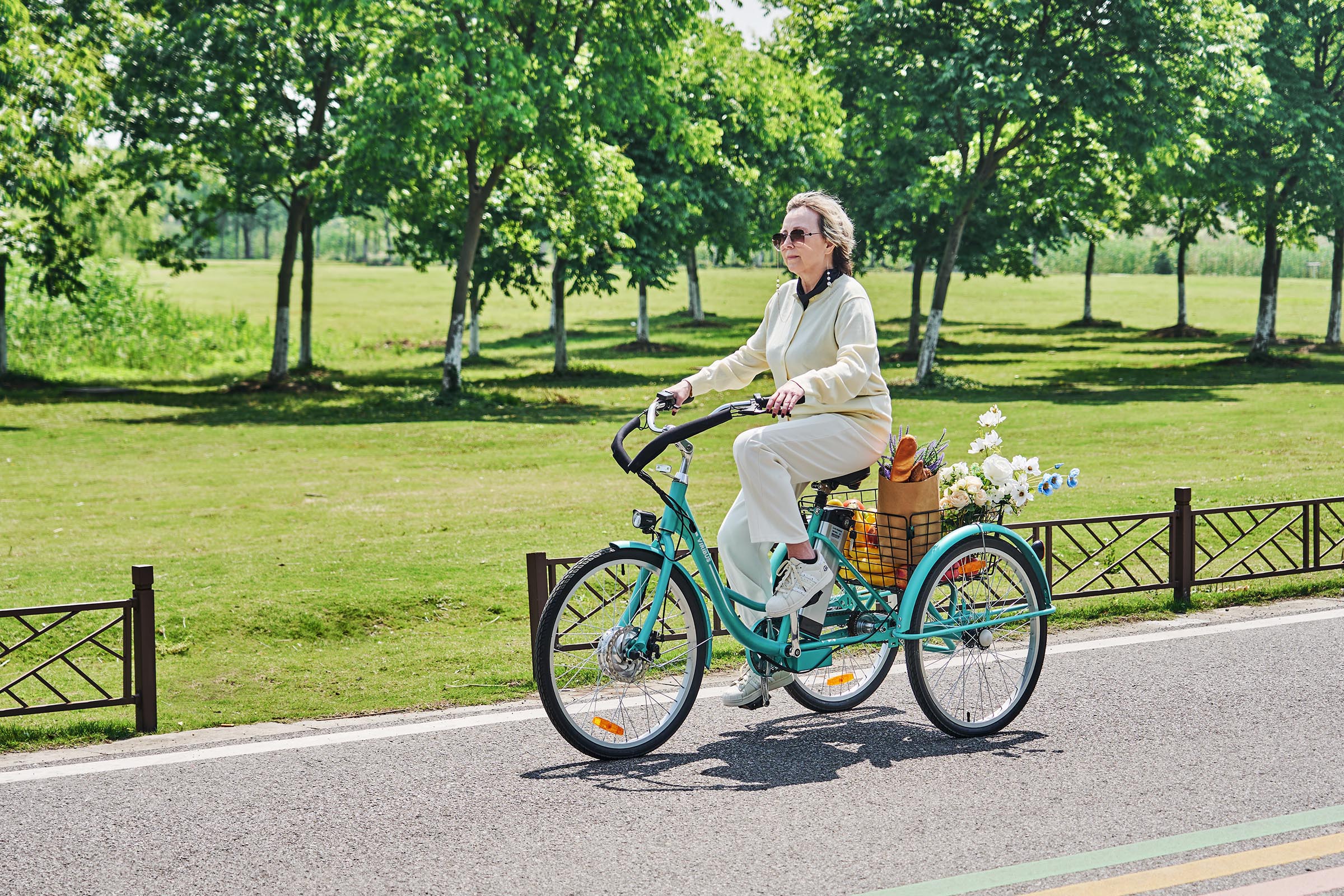 Viribus electric tricycle review