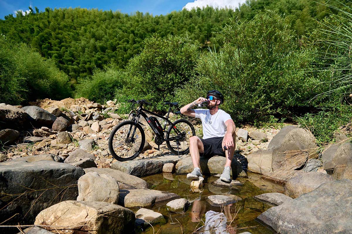 Viribus Panther electric mountain bikes