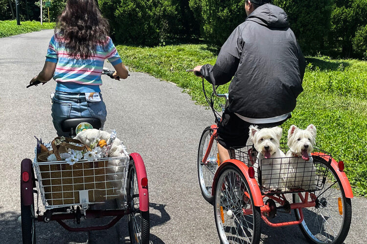 best tricycle for adults