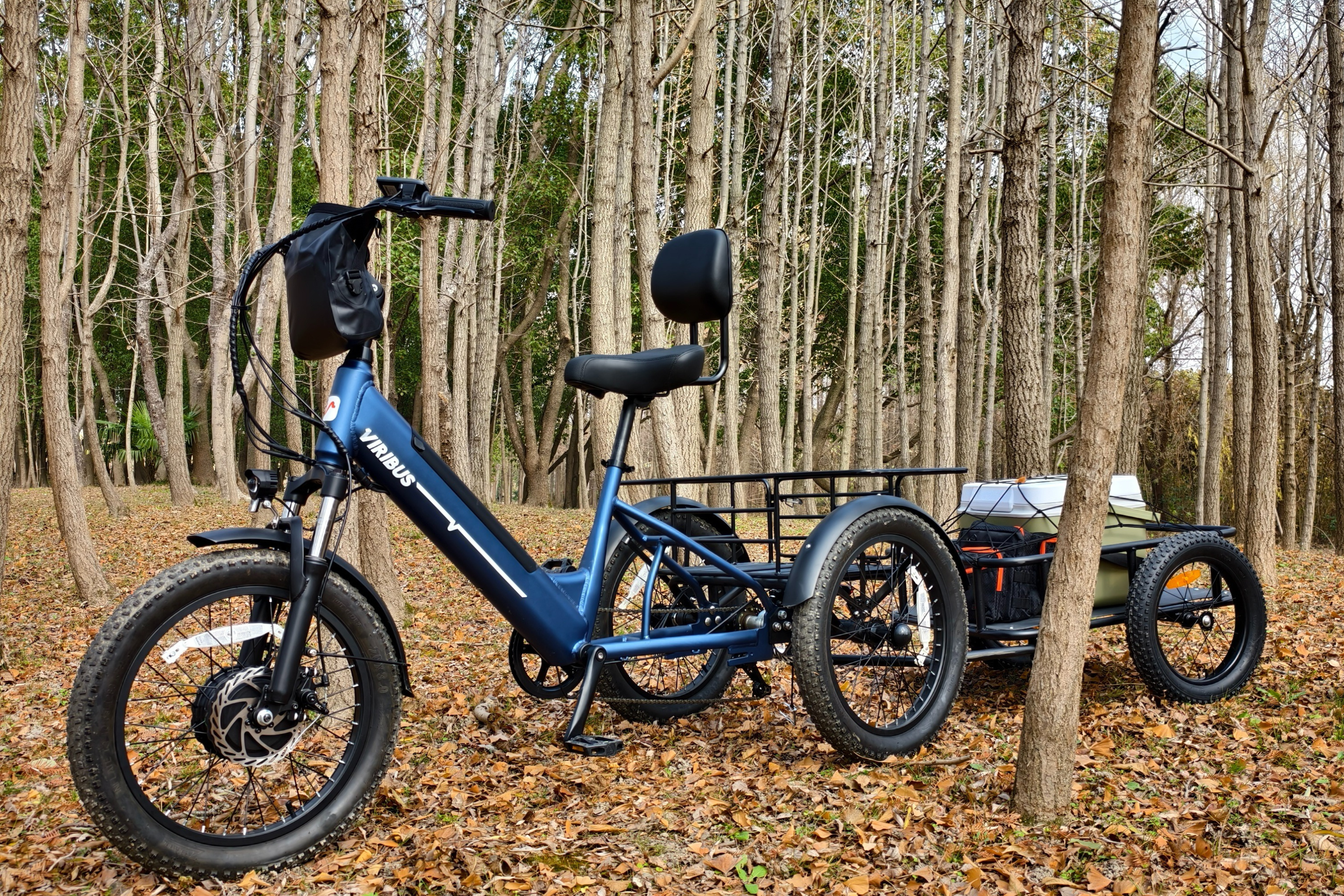 What Is the Fastest Electric Tricycle? Complete Guide