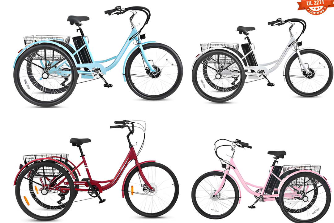 Why Viribus Remains the Best Electric Tricycle Brand in 2025