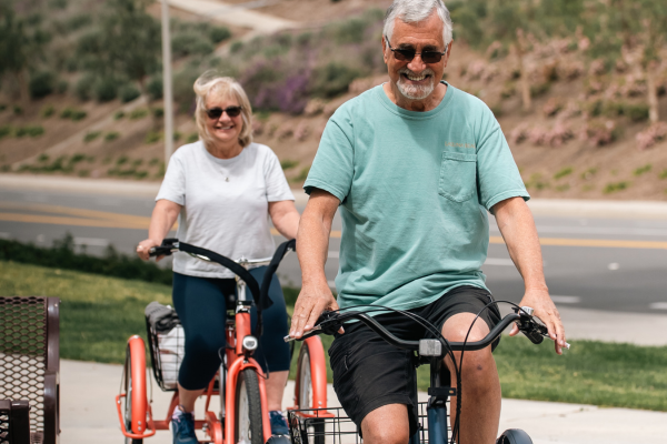 THE ADULT TRICYCLE HANDBOOK: EVERYTHING YOU NEED TO KNOW ABOUT ADULT TRICYCLES