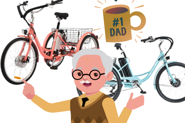 A PERFECT GIFT FOR DADS: AN ADULT TRICYCLE!