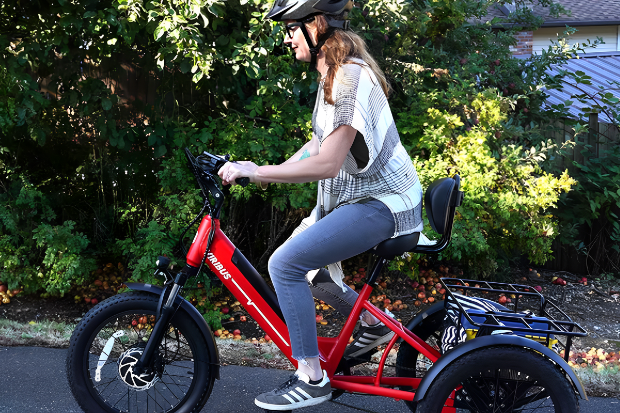 The Best Fat Tire Electric Bike in 2025.