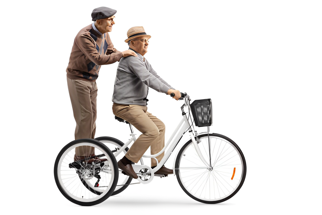 adult tricycle for Father's Day