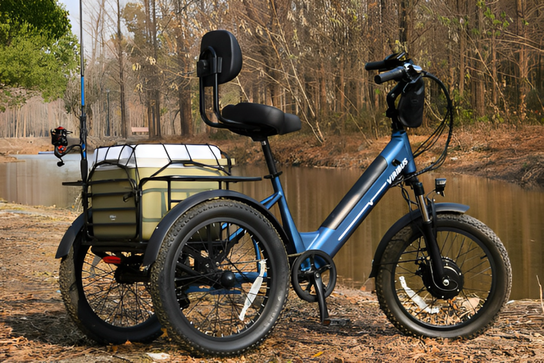 Is It Worth Buying an Adult Tricycle in 2025?