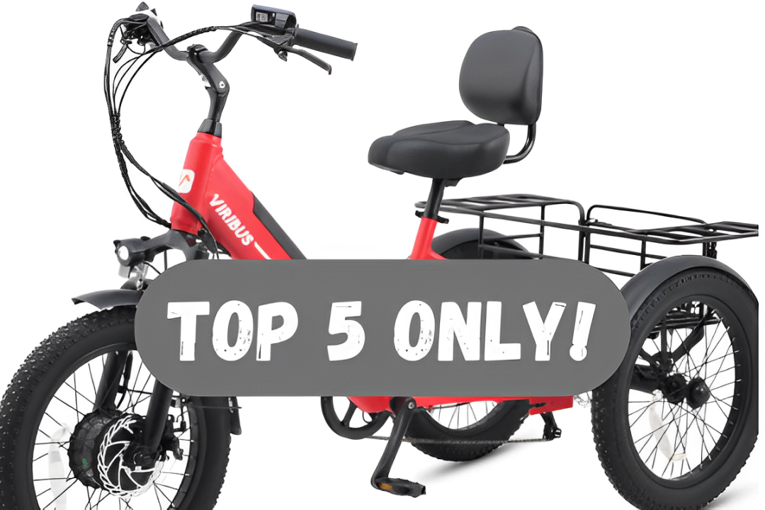 6 Best Adult Tricycles Under $3,000 in 2025