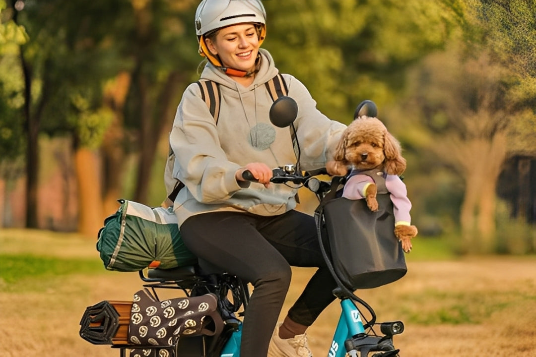 The Best Small Electric Tricycle for Adults