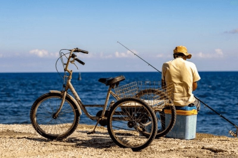 find the right adult trike: types of adult tricycles