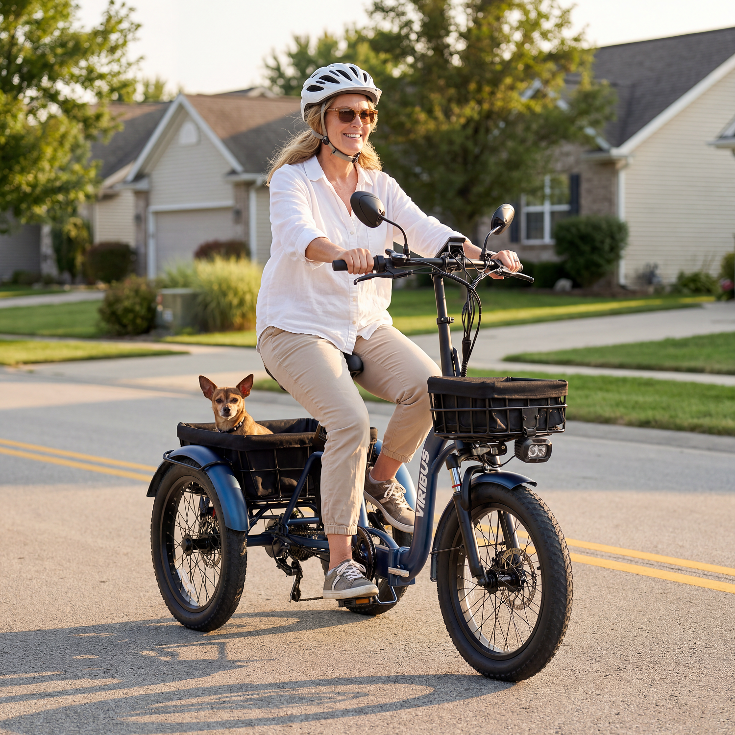 Viribus ST1 Folding Electric Tricycle