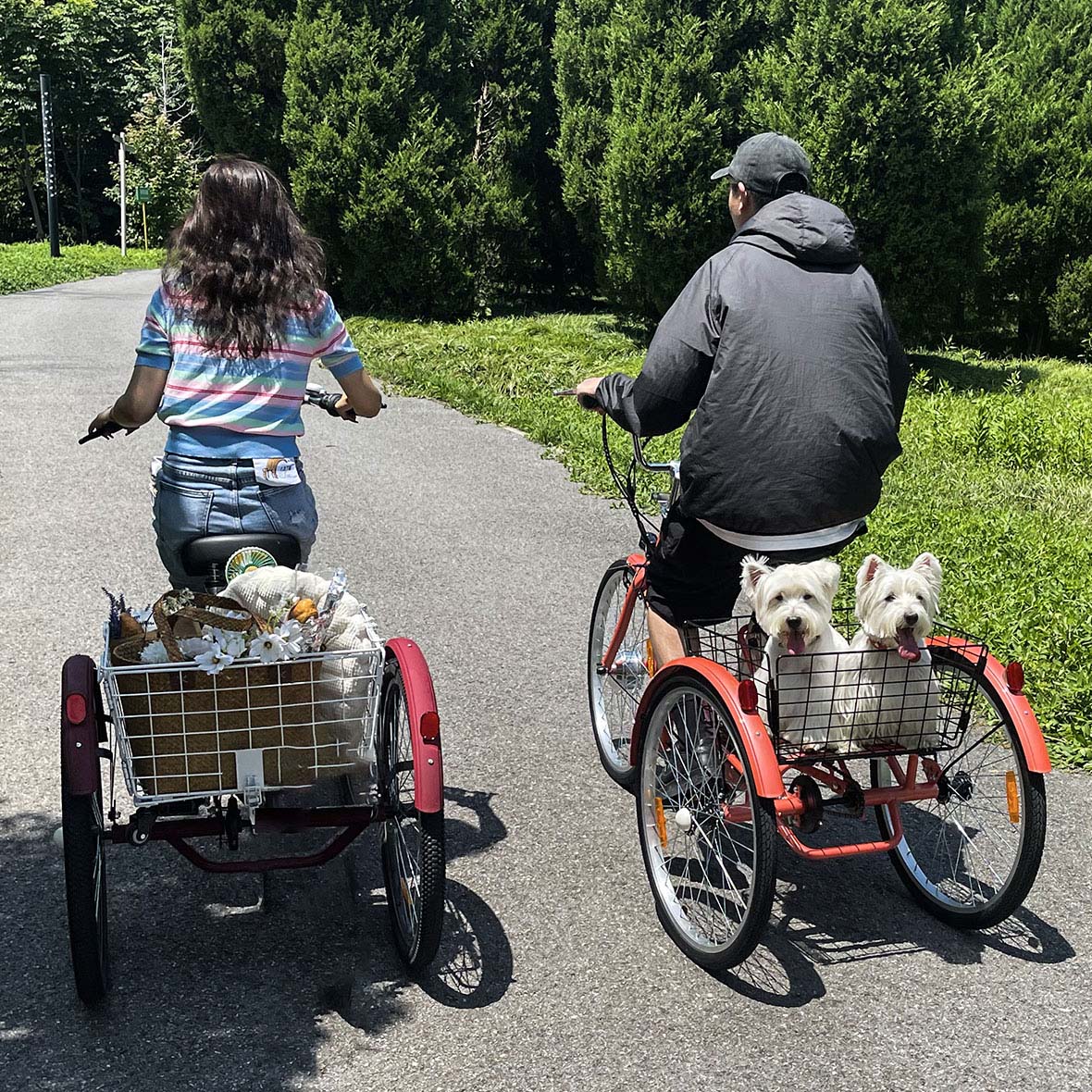 Portable Dog Carrier Bag for Tricycle