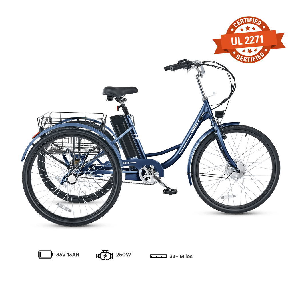 Viribus TG1 Electric Tricycle