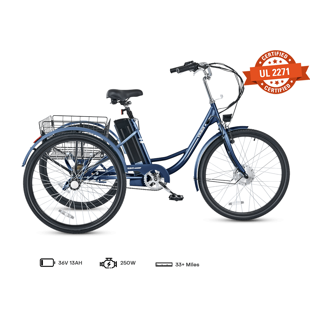 Viribus TG1 Electric Tricycle1