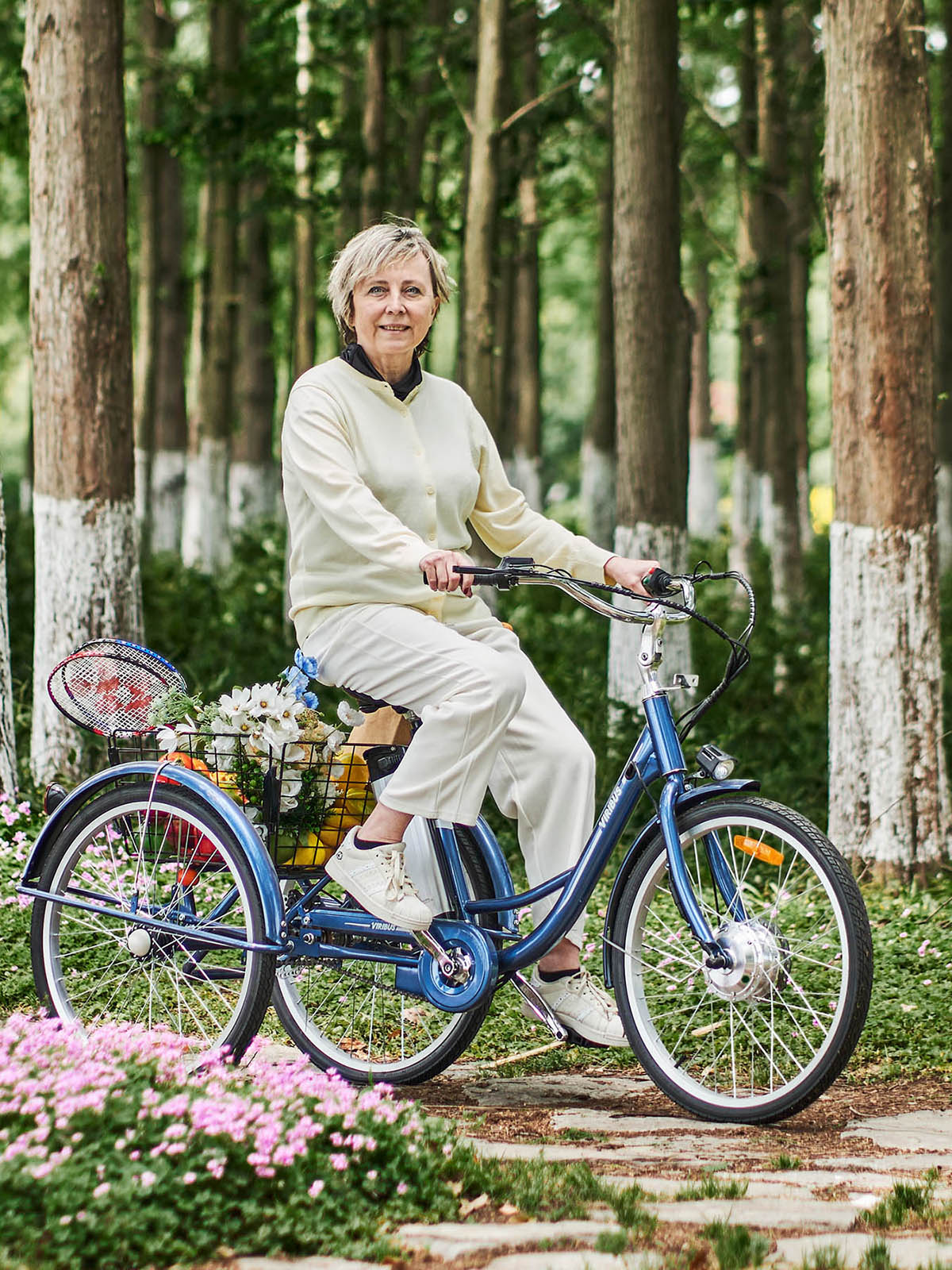 Viribus electric tricycle