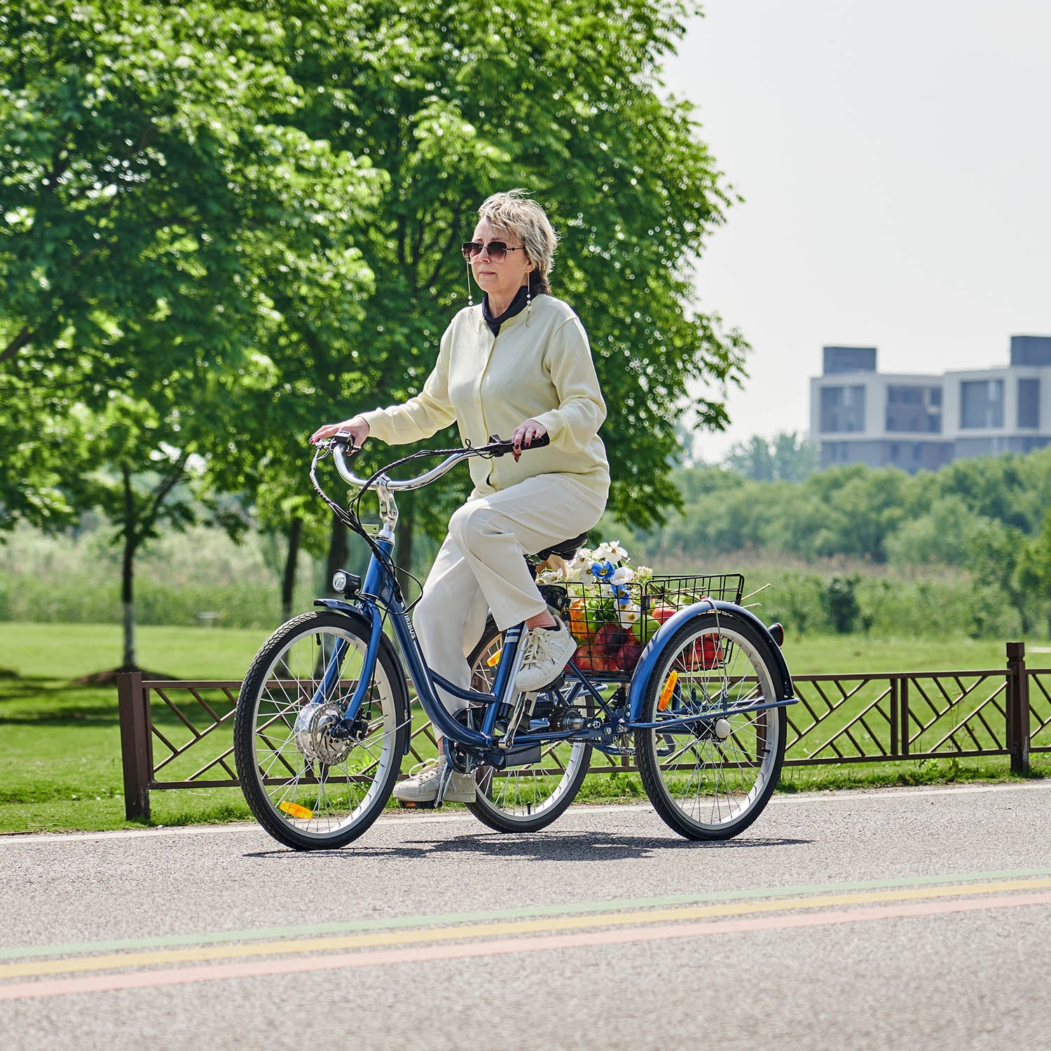 Viribus Trio Plus Adult Electric Tricycle with Dual Disc Brakes