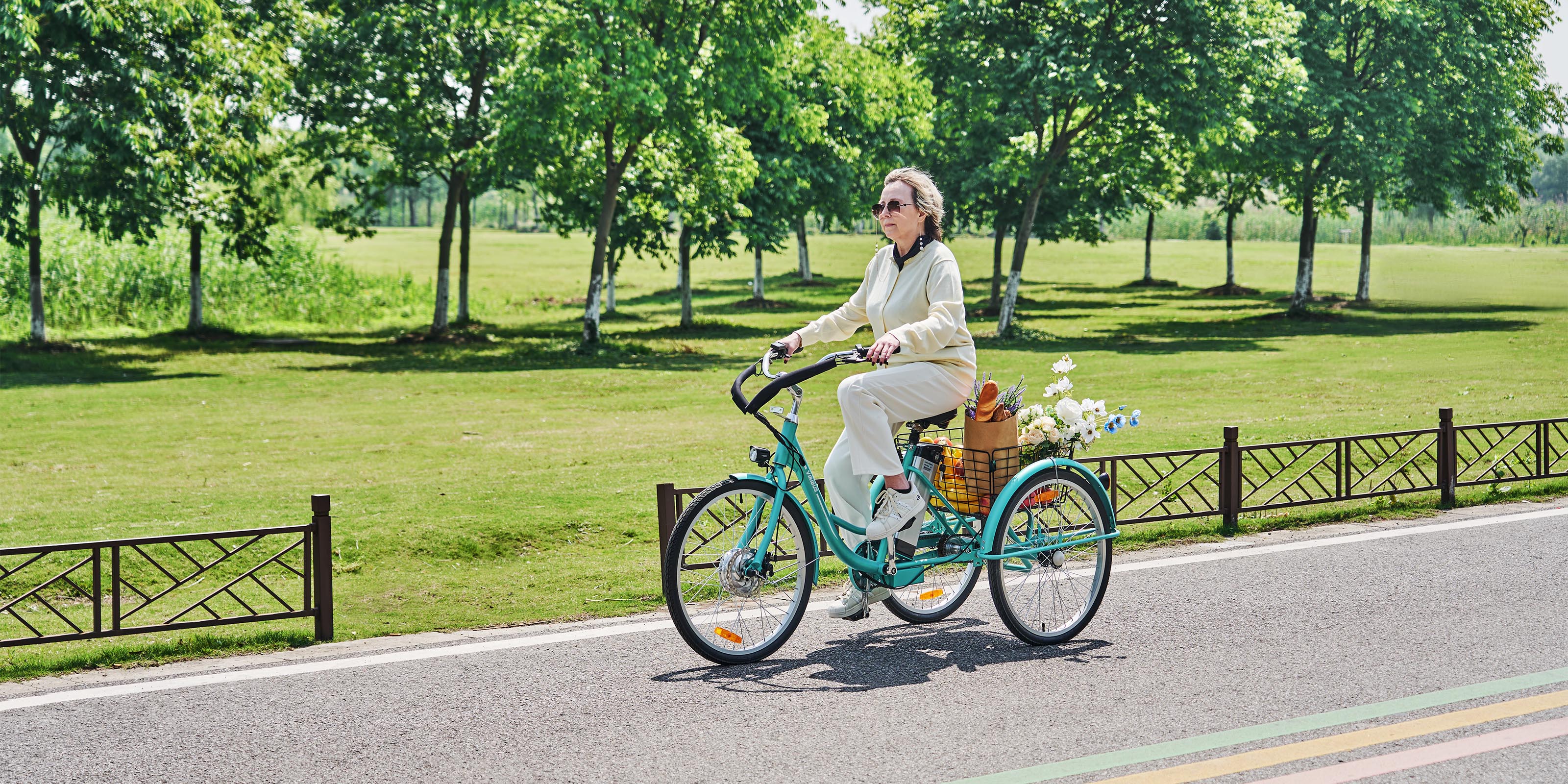 Viribus Trio Plus E-Tricycle for seniors