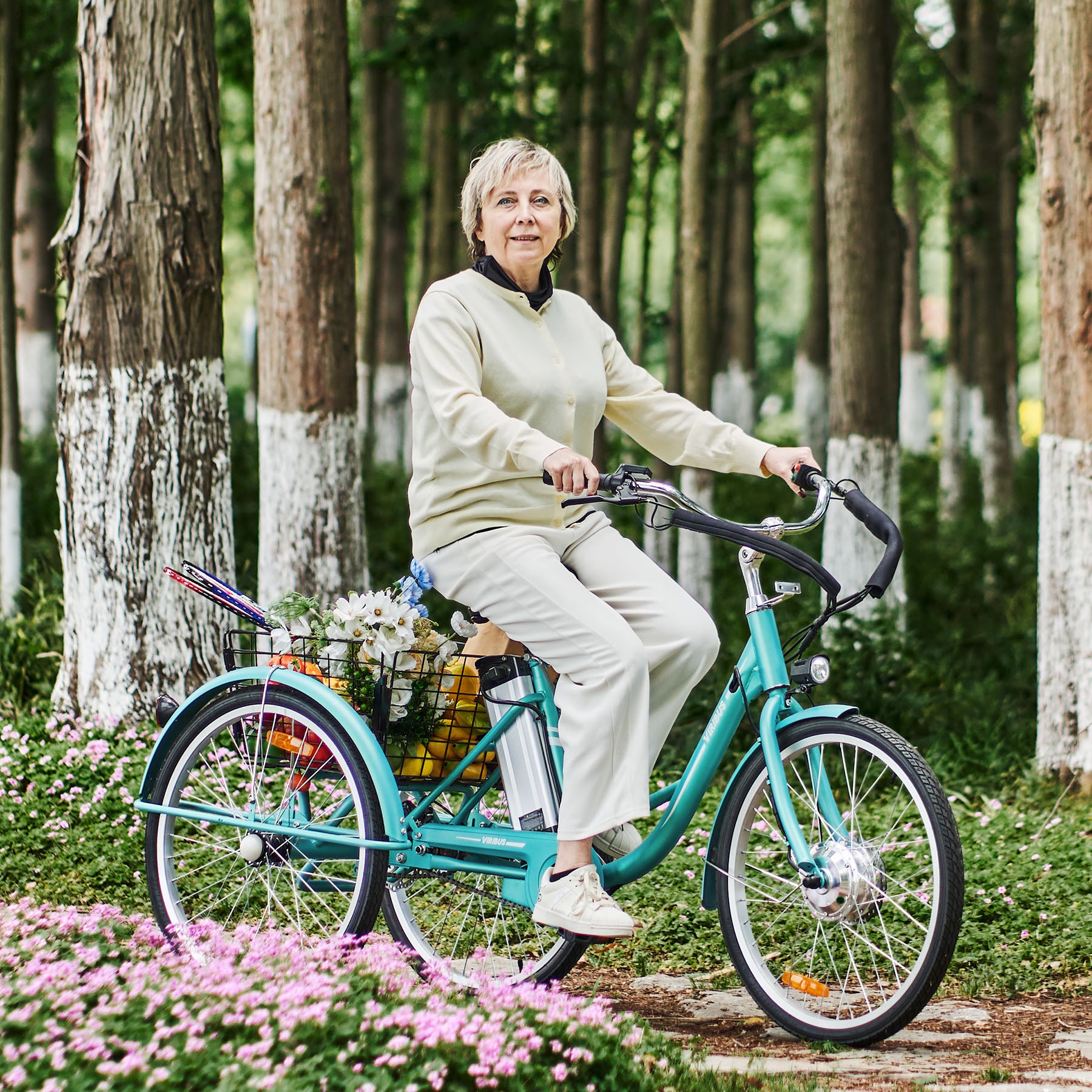 Viribus Trio Plus Adult Electric Tricycle with Dual Disc Brakes
