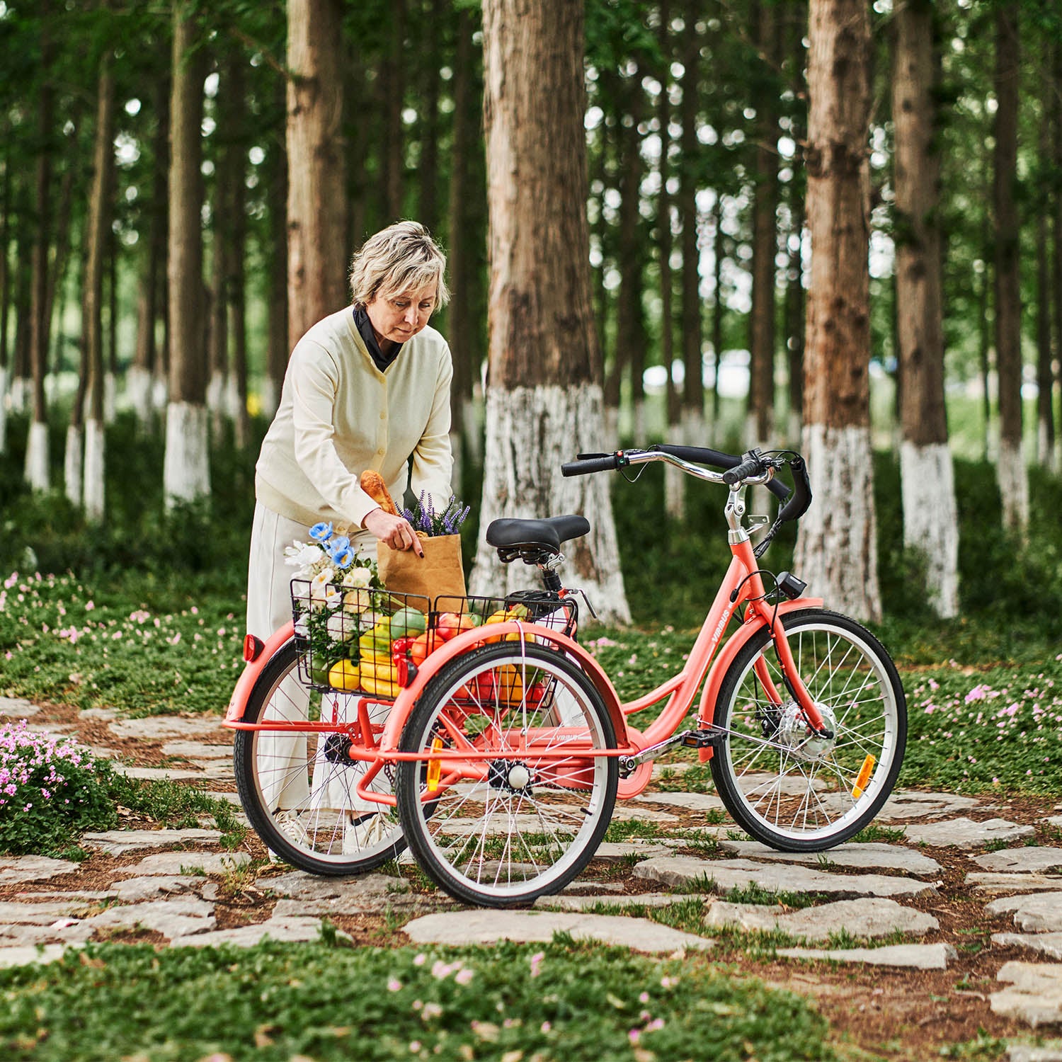 Viribus Trio Plus Adult Electric Tricycle with Dual Disc Brakes