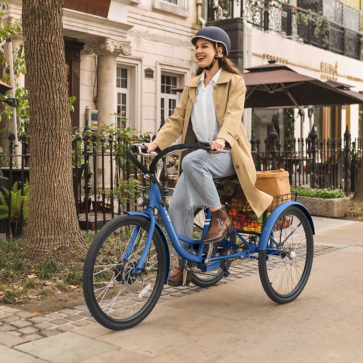 Viribus TG1 Electric Tricycle | Safe, Stable & Comfortable Electric Tricycle for Adults