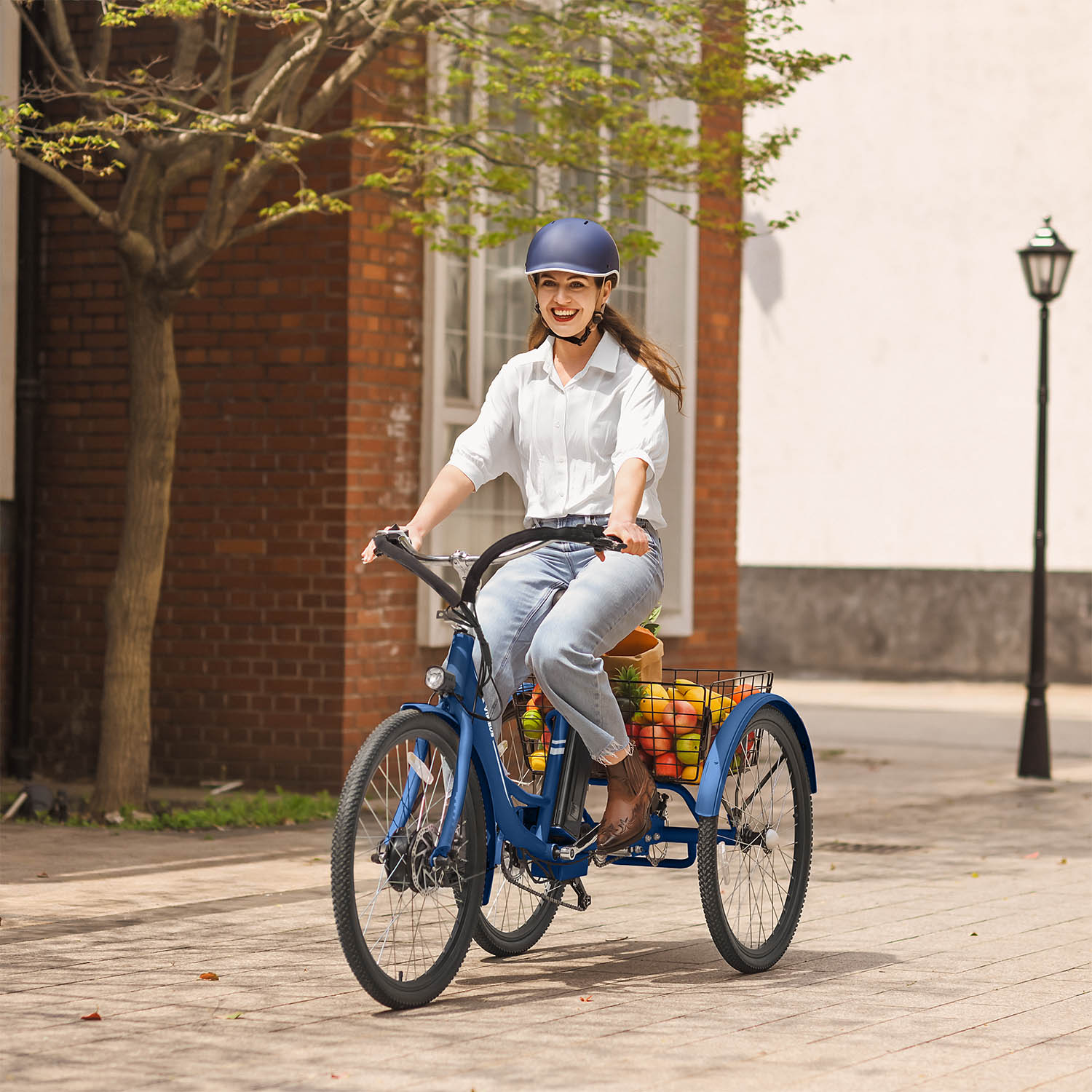Viribus TriGo Plus Electric Tricycle for Adults 3 Wheel Bike for Sale