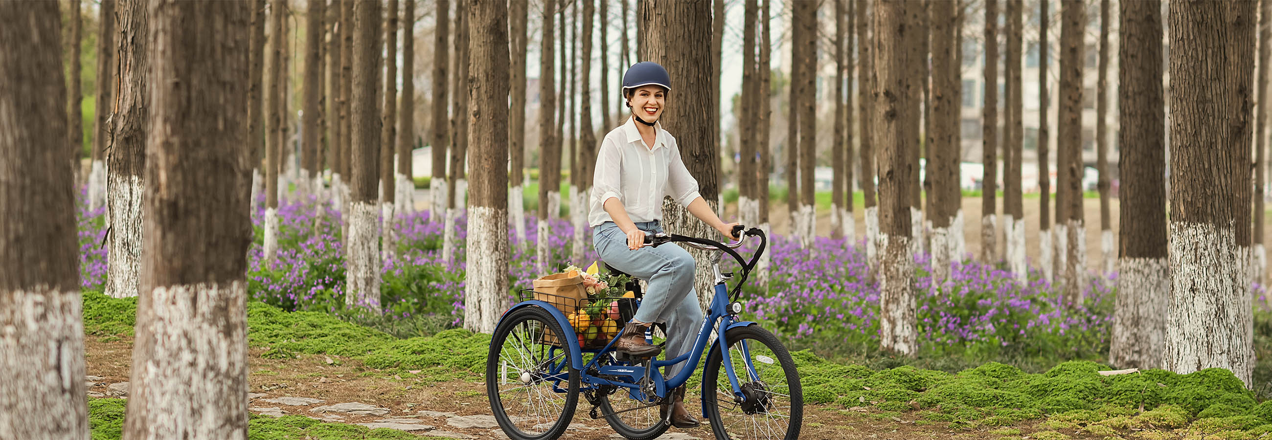 Viribus TriGo Plus Electric Tricycle for Adults 3 Wheel Bike for Sale