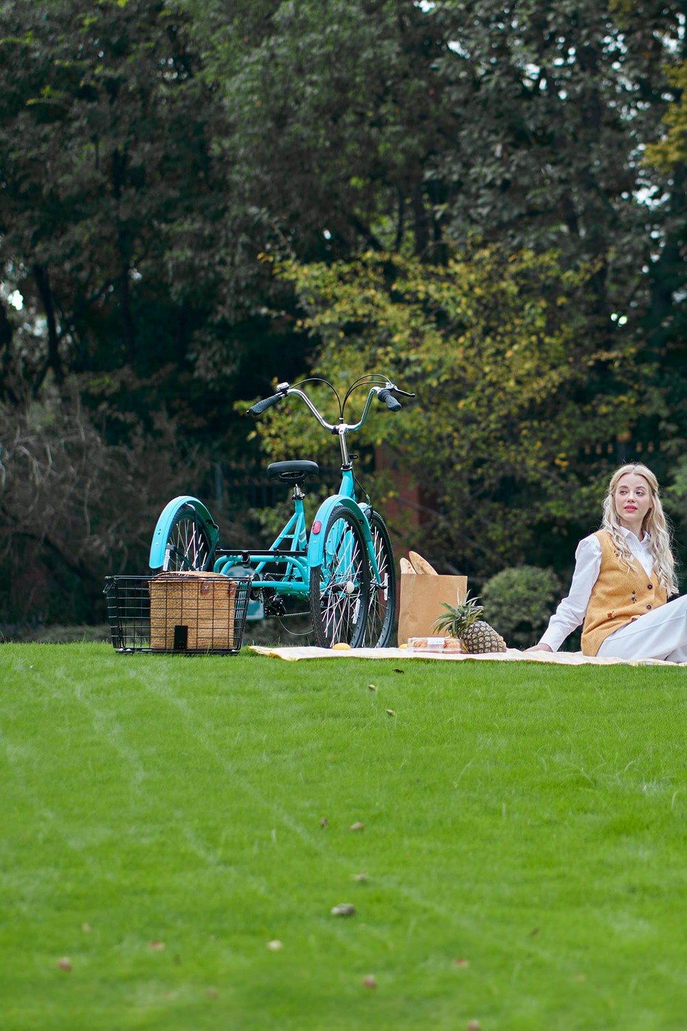 Viribus Folding Adult Tricycle Discover the outdoor