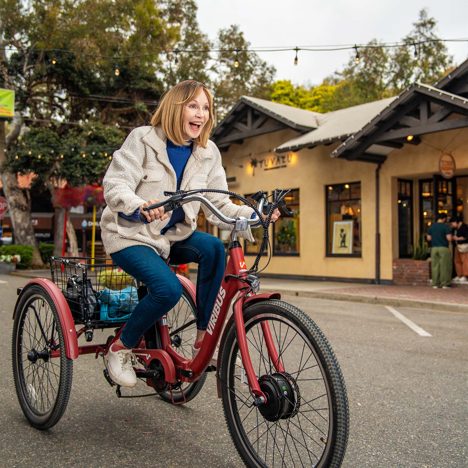 TriGo Folding Electric Tricycle 3 Wheel Electric Bike