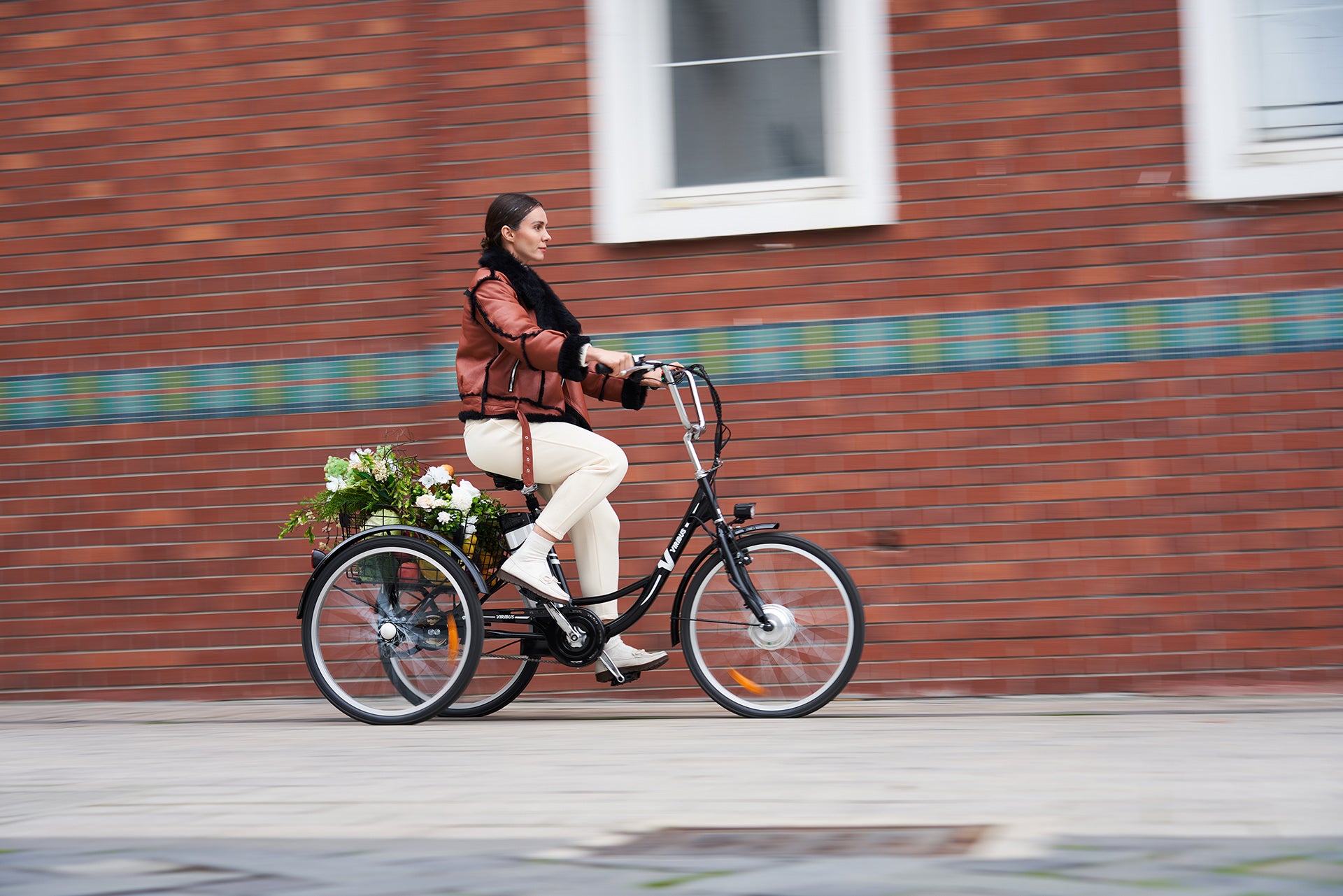 Viribus Trio Electric Tricycle for Adults for Sale