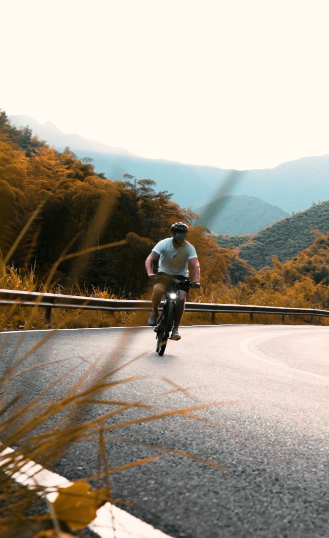 Buy Viribus Panther e mountain bike for sale