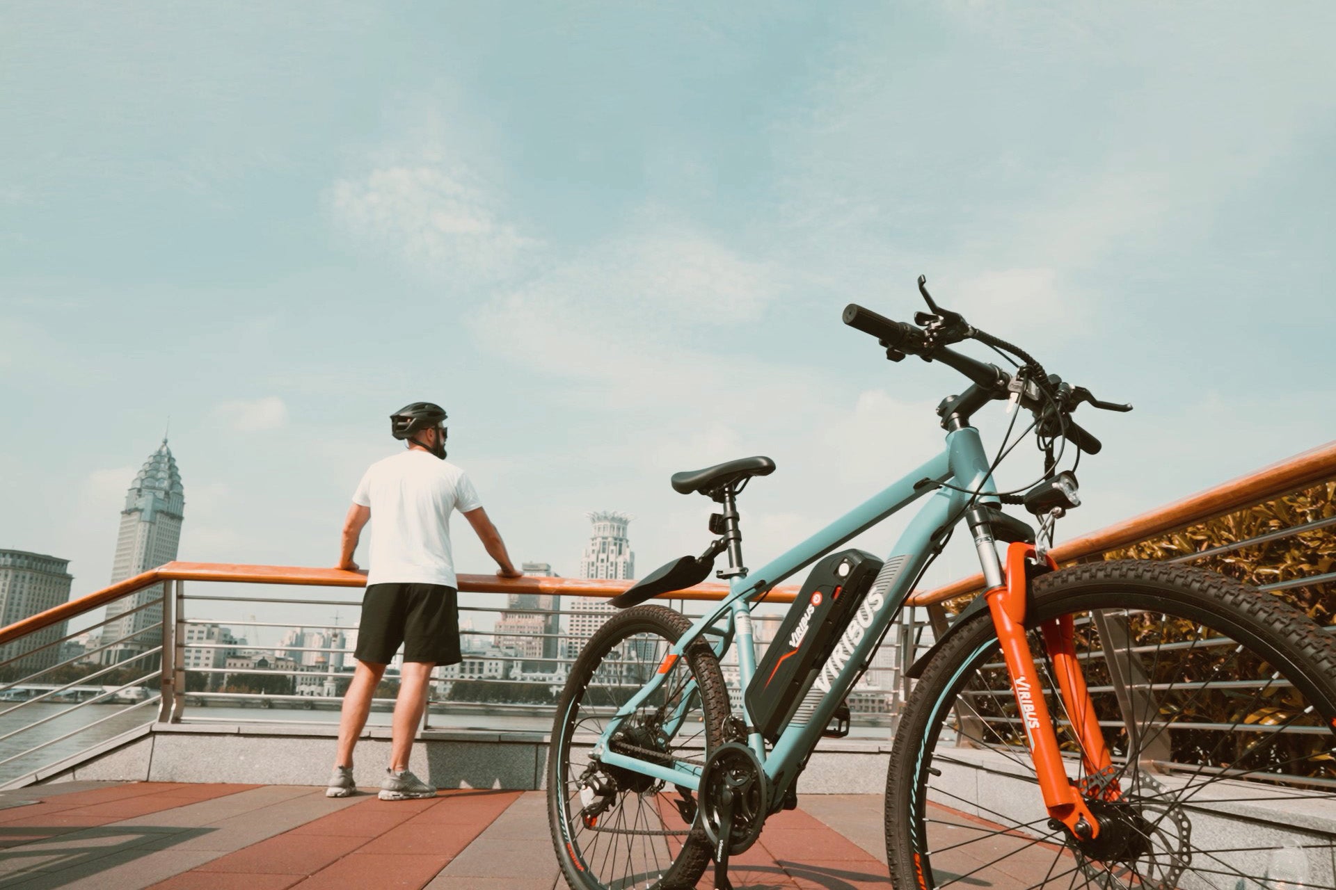 Get Viribus Panther Electric Mountain Bike for sale