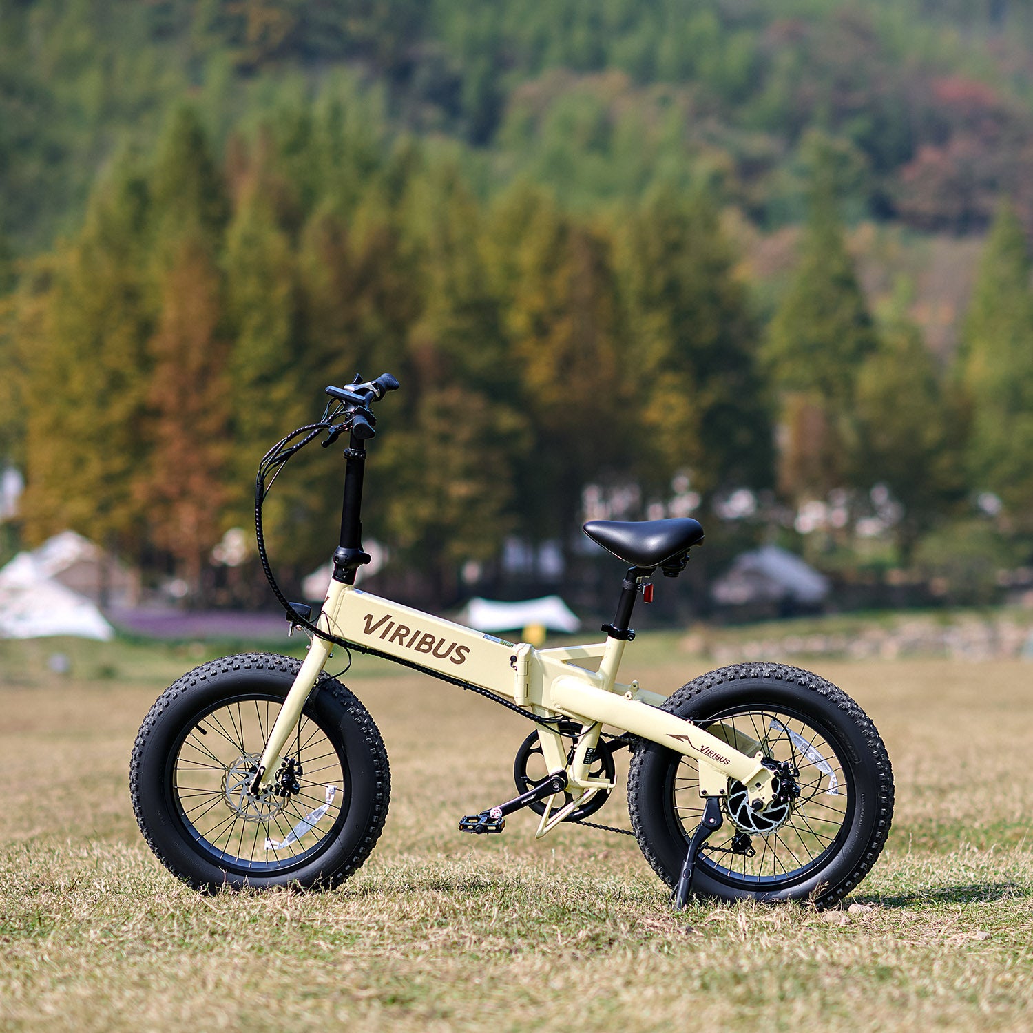 Viribus Donkey best folding electric bike fat tire foldable ebike