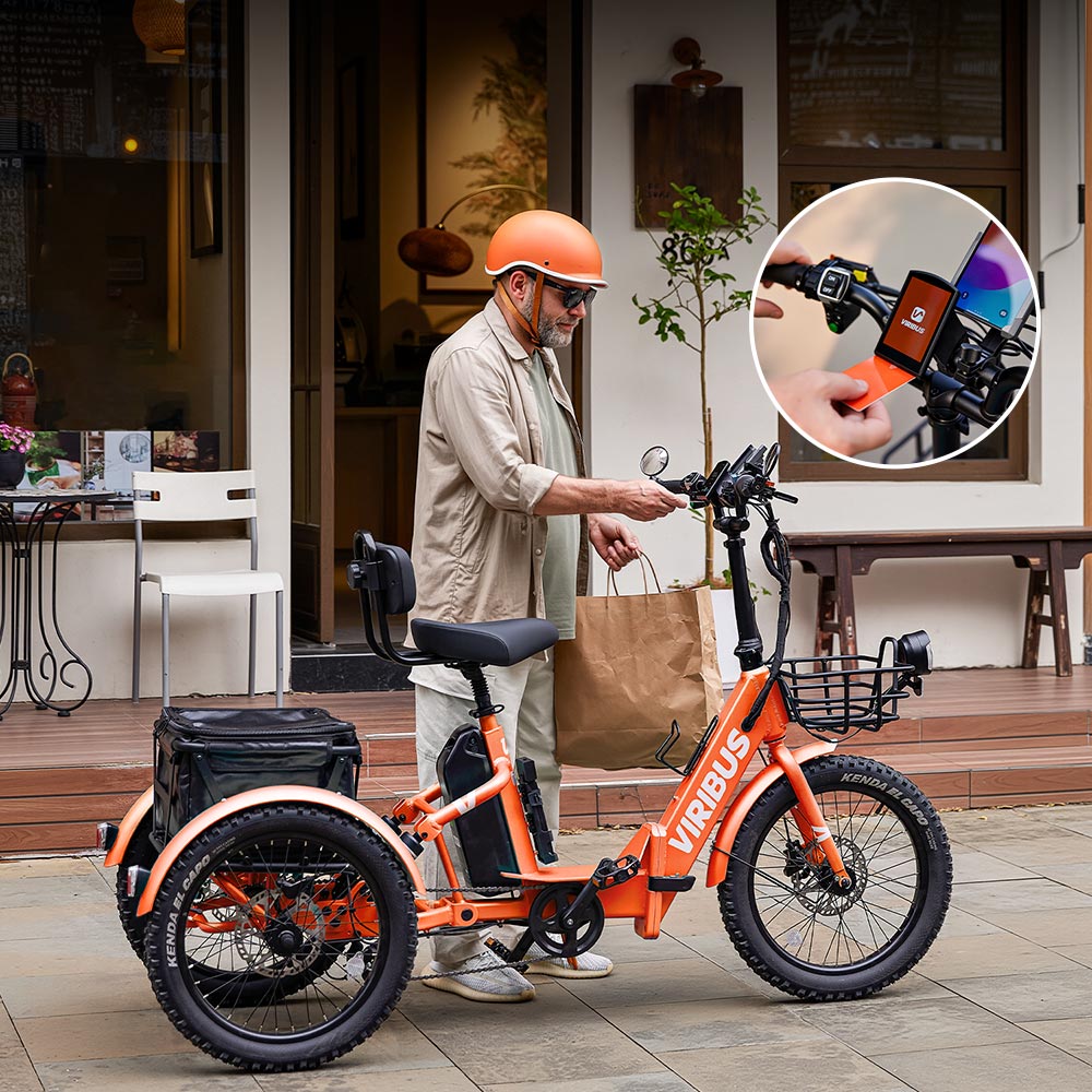 Viribus FC1 Folding Fat Tire Electric Tricycle