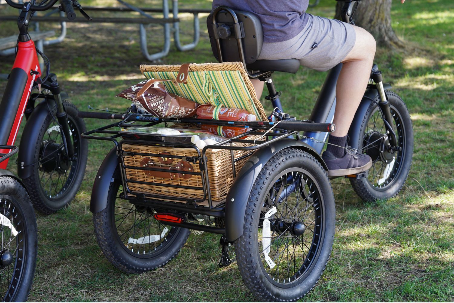 Father_s_Day_Sale_-_Viribus_SC5_eTrike