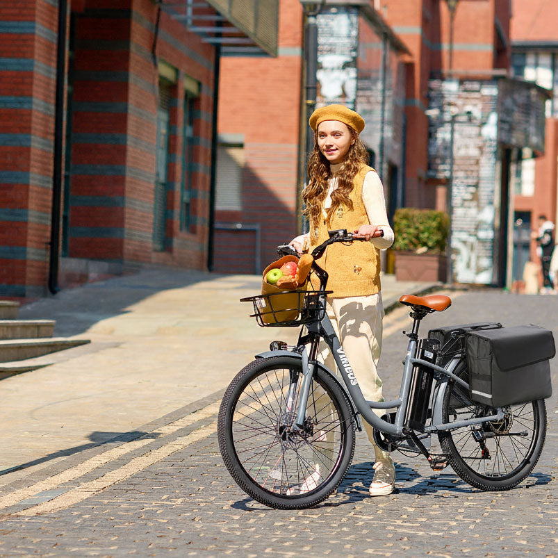 36L Waterproof Bike Rack Bag