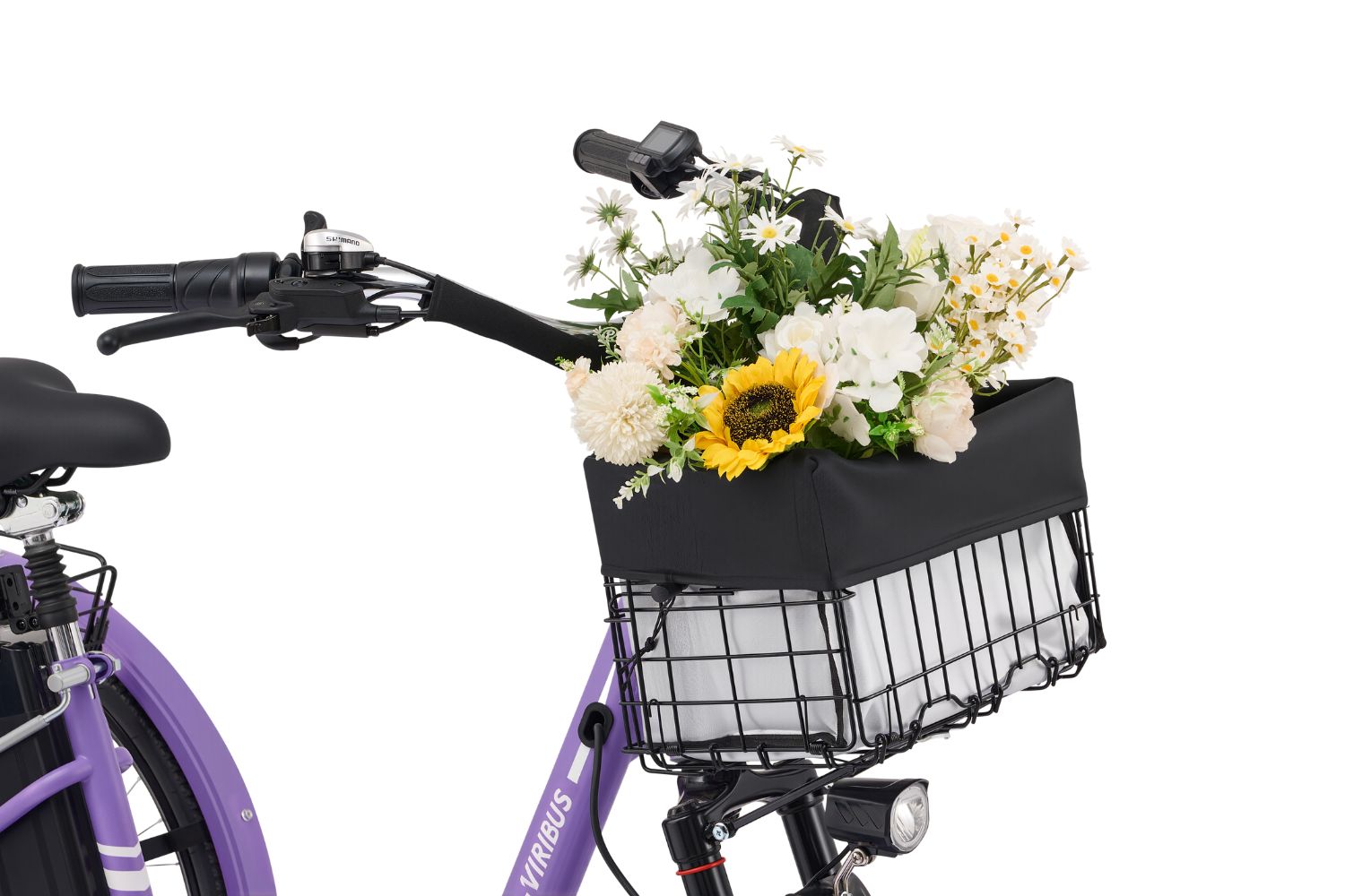 Viribus - TG1 Upgrade 350W Electric Tricycle