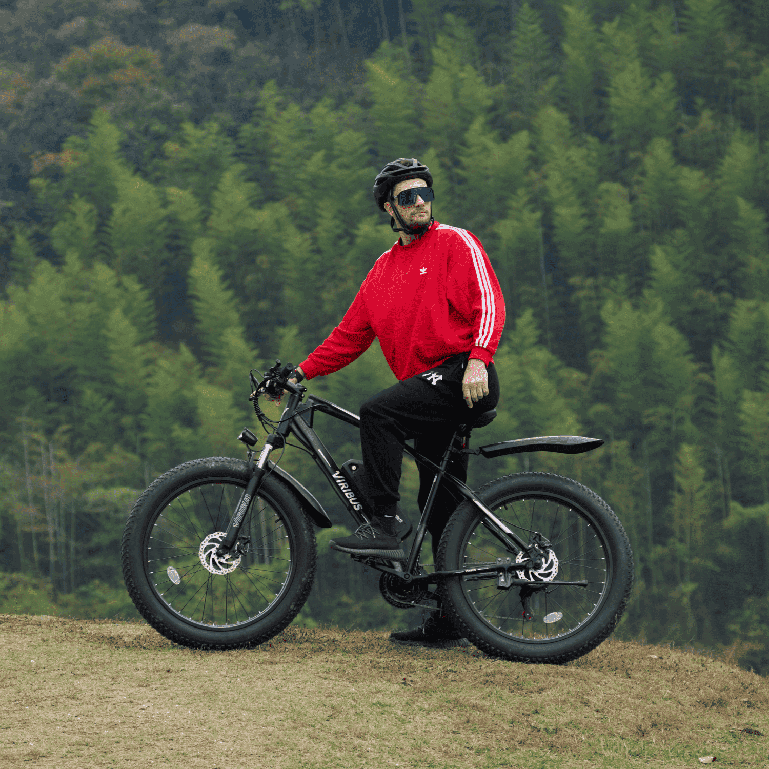 Viribus Bikes - Fat Tire Bikes