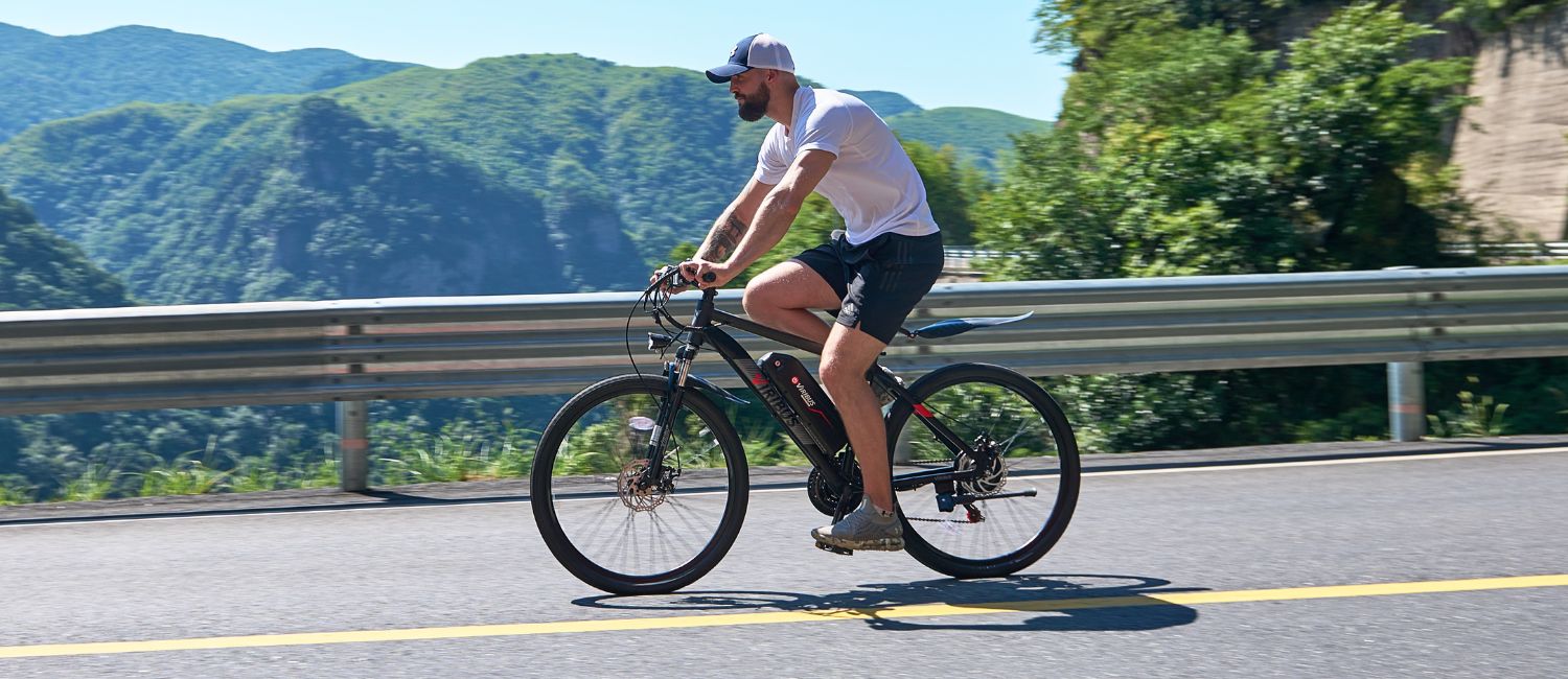 Viribus Panther Electric Mountain Bike