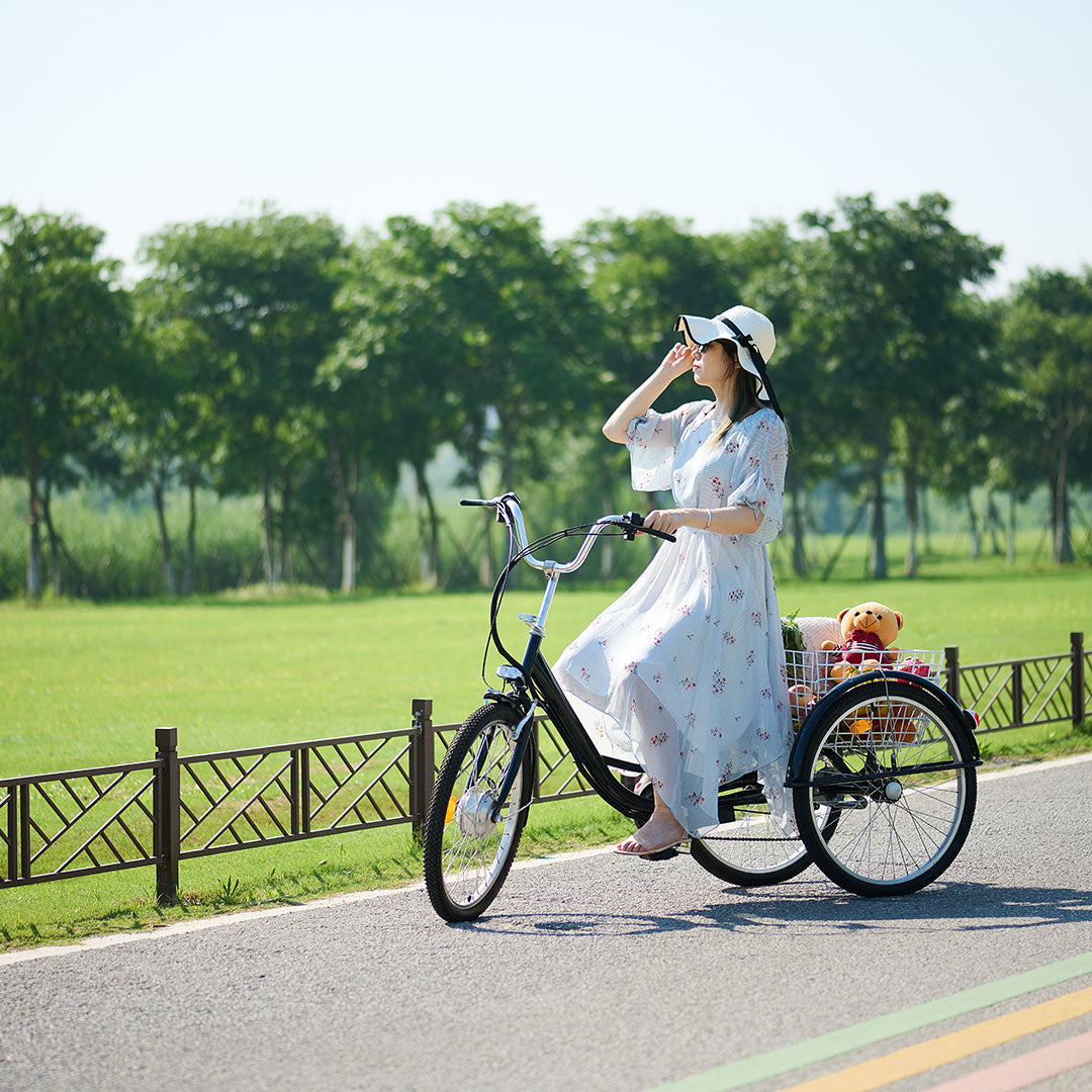 Viribus Trio adult electric tricycle for sale