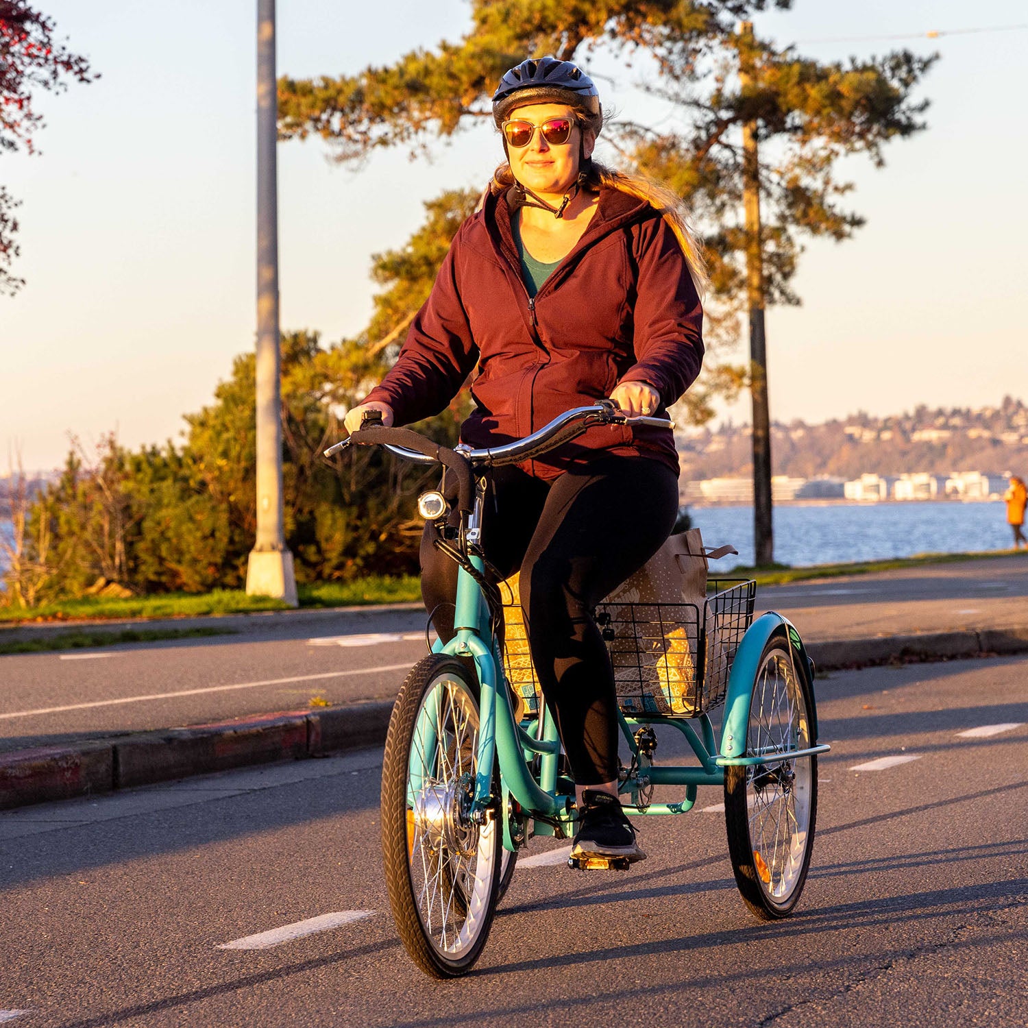 Viribus Electric Tricycle for Adults 3 Wheel Bike for Sale