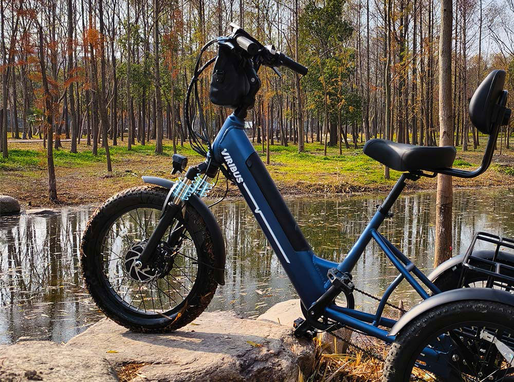 Blue electric bike with sidecar parked by a pond in a forest