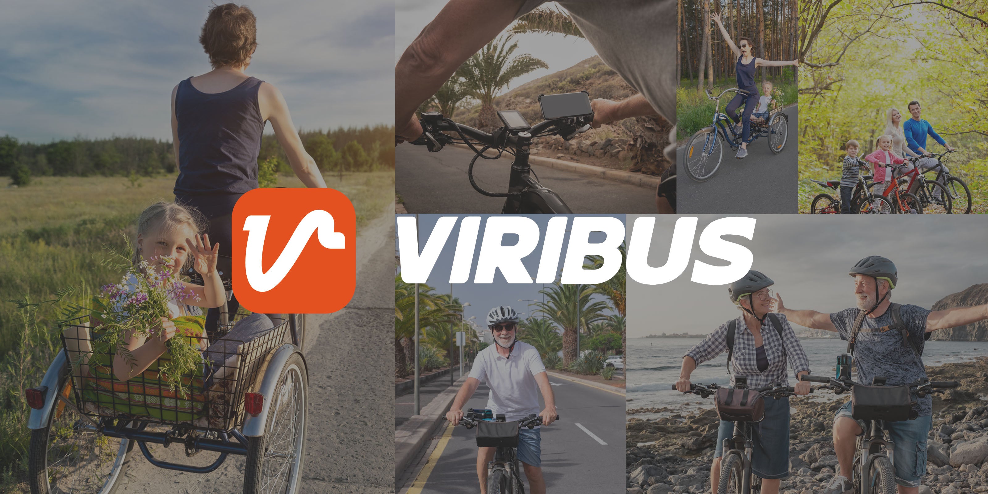 who is Viribus About us