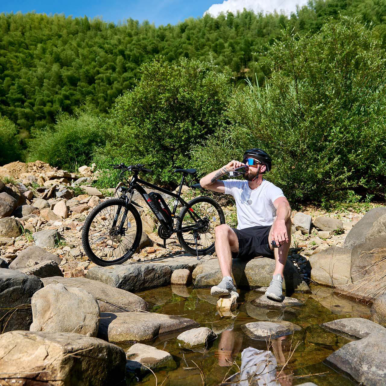 Viribus Panther Mountain Electric Bike for Sale Black e mountain bike