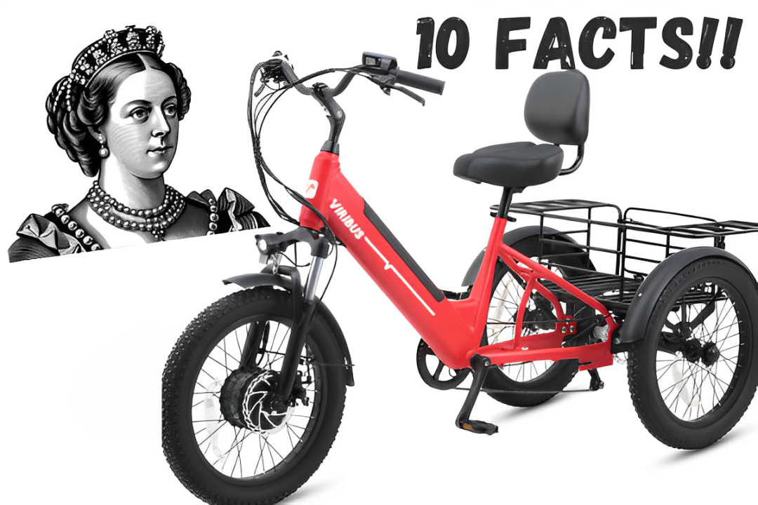 1O INTERESTING TRICYCLE FACTS TO BLOW YOUR MIND!!