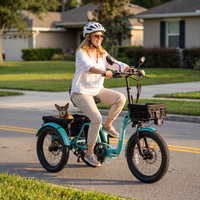 Adult Tricycles for Daily