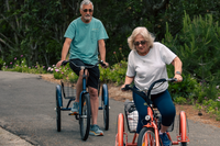 How to Choose the Best 3-Wheel Electric Bike for An Adult