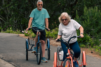 how to choose electric tricyle for adults