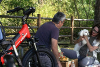 Top 8 Must-Have Adult Tricycle Accessories