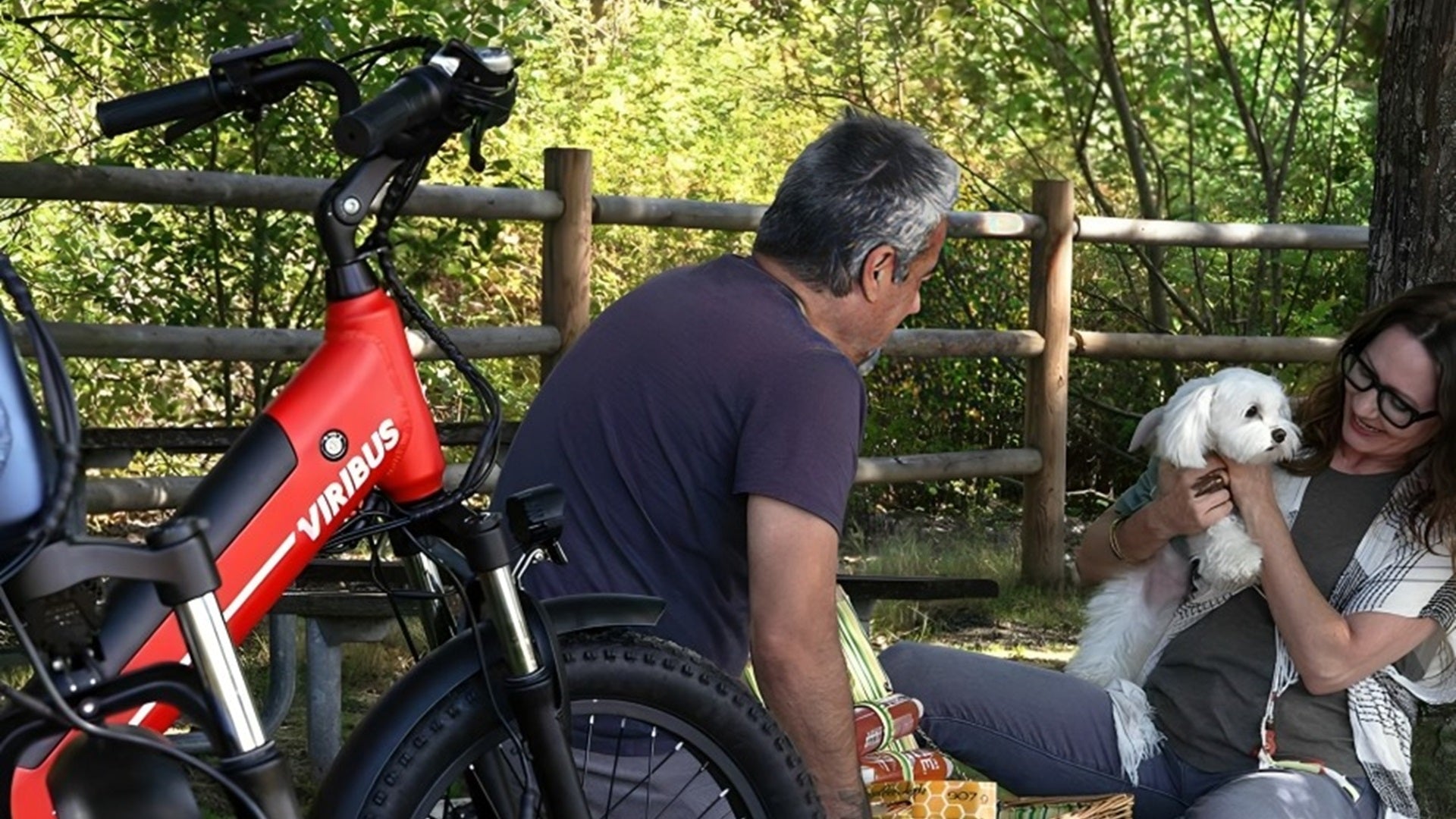 How the Storage Basket Makes It Easy to Bring Your Furry Friend Along