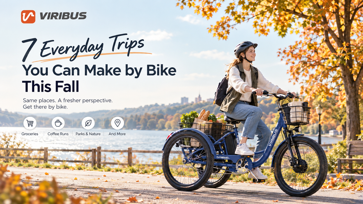 viribus Electric Tricycle
