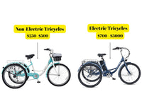 How Much Does an Adult Tricycle Cost?